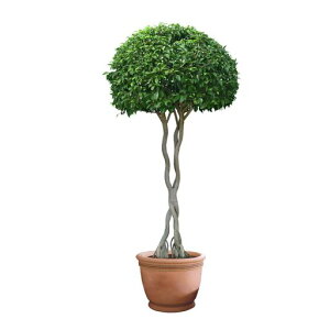 WOHAHAEH[XebJ[ΗtϐAϏܗpGo[O[A傫rO[QLփO[ǂɓ\ǎV[͂邨kSܕtėc