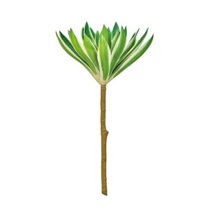 (Tokyodo)AGIjE}L36xW15cm1FG002775-zzz