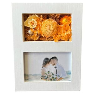 L[t(Q-FLA)AWtHgt[vU[uht[zCgIW̓Mtg蕨813467