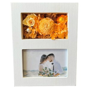 L[t(Q-FLA)AWtHgt[vU[uht[zCgIW̓Mtg蕨813467