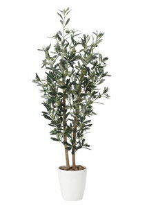 ̊ytFCNO[ԃI[u1.2m869P260