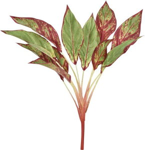 ASCAԃAOIl}bhO[S:50cmA-43485-052R