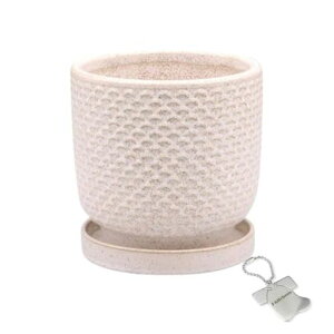 J-kitchensSelectԕrAؔԖڃfUC|bgAC{[L12xH11.5cmIWi^Ot