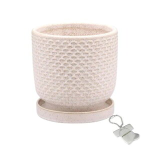 J-kitchensSelectԕrAؔԖڃfUC|bgAC{[L12xH11.5cmIWi^Ot