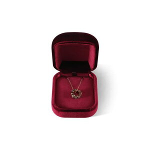 DansmiyxxbgfރlbNXpfBXvC{bNXWG[[P[Xy_gEΕۊ5FWJv[gΉیP[XANZT[{bNX