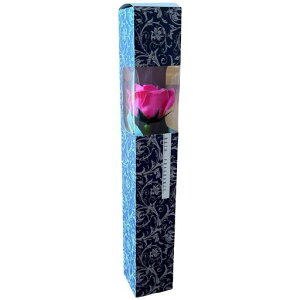 L[t(Q-FLA)\[vt[܃u[Pԑ1ֈփAxXNOXer[eB[̓Mtg蕨811913