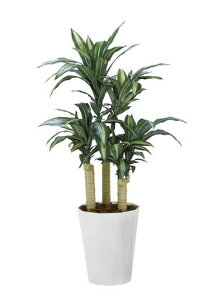 ̊ytFCNO[ԍK̖1.3m2316P280