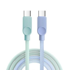 ����USBTypeCtoTypeC�P�[�u��PD�Ή�100W/5A�}���[�dUSBC�[�d�P�[�u��USB2.0�i�C�����҂�ForiPhone17AirProMax16e1615PlusMacBookiPad