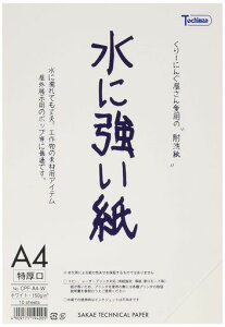 SAKAEeNjJy[p[ϐA410zCgCPF-A4-W