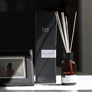 L.A.B[hfBt[U[O[XvEgSNLD-107A[gE{