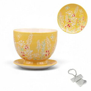 J-kitchensSelectԕrAؔt[t[x[XF11xH8.5cmԃIWi^Ot