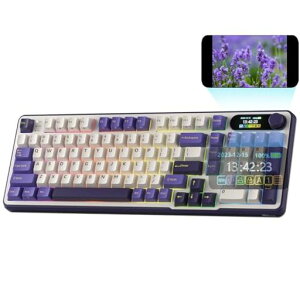 RKROYALKLUDGES98JjJL[{[hAX}[gfBXvCуmutAgbv}Eg96%CXJjJL[{[hBT/2.4G/USB-CAzbgXbv\A\tgEFAT|[gAc