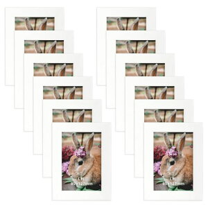 WtrgastHgt[Lzؖڒʐ^zǊ|ppzCgZbg1289x127mm