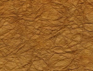 ۘa(Maruwa)ʂˌxAY-06aǎzOaNtgӂ܎sRRfޒH46cmx46cm