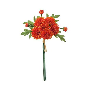 (Tokyodo)ԏesbN#009IWԌa4~5xL26xW15cm1(3{)FM003037-009