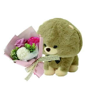 |s[É\[vt[V{t[ԃMtgv[gu[Poԑ26.5cmʂ݃NAP[XtSH-036uE