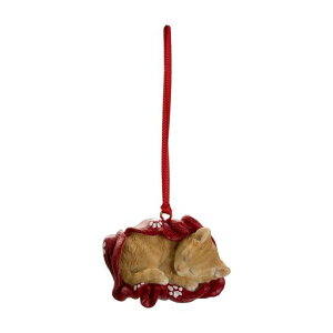 E[rAѕzɂ܂钃gLI[ig6.3x4.5x4.5cml`tBMAuAj}K[flRNX}Xc[T^H22404-1