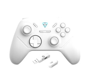 GRAPHT Omni �R���g���[���[ ���� �L�� �ڑ�/USB-C USB-A / 2.4GHz �h���O��/�z�[���G�t�F�N�g �Z���T�[ / 1000Hz �|�[�����O���[�g/���[�V�����Z���T�[ �W���C���@�\ / 190g