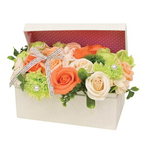 |s[É\[vt[V{t[ԃMtgv[gt[BOX{bNXo20cmSBL-115IW