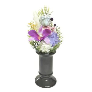 ՉԃvU[uhԉԊtvU[uhԗz/u[