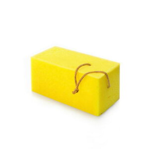 ISTORAC|X|W唻TCY|JԂgp\z͋NAI?\ŉzϋv|(EEEԑ̂ȂǑpr)