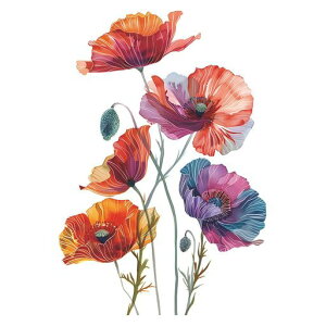 EH[XebJ[ԃPV̉ԐԂĉ₩ȉԃEH[V[ǂɓ\EH[y[p[G敗hǂĂ[ǃV[邨ԃrO[QqǎV[֐Qc