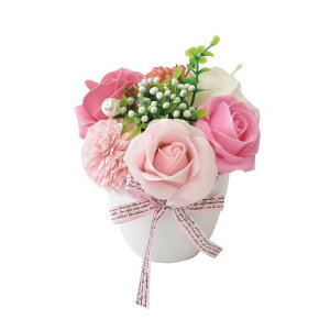 |s[É\[vt[V{t[ԃMtgv[gt[|bgo15cmNAP[XtSK-006sN