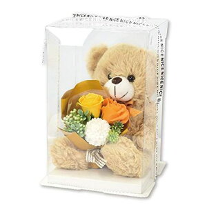 |s[É\[vt[V{t[ԃMtgv[gu[Poԑ28cmefBxANAP[XtSH-016CG[