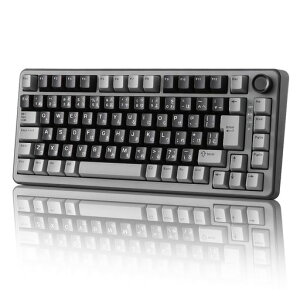 YUNZII RT75 �Q�[�~���O�L�[�{�[�h ���{��z�� ���s�b�h�g���K�[ ���C�����X 75%���C�A�E�g �z�[���Z���T�[���C�X�C�b�` �L��8000Hz�|�[�����O���[�g �O���[�h (�L��/2.4G/Bluetooth)�Ή� �m�u�t�� �c