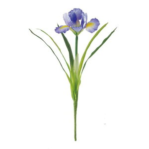 MAGIQԂ傤ԃu[x_[Ԍa8xL26cm1{FM001525-011