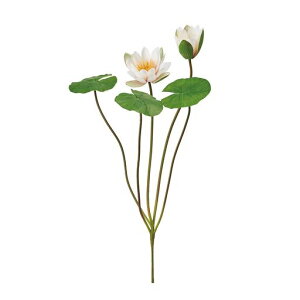 (Tokyodo)ԃXCubV#046N[sNԌa9~12xL62xW35cm1FM000839-046