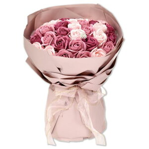 |s[É\[vt[ԑ͂ȂoV{t[u[PMtgajv[gSH-069sN