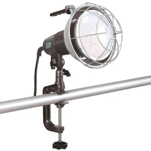 ハタヤ(HATAYA)照明LED投光器屋外用(防雨型)防水昼白色45W全光束5400Lmコード10mビーム角110度二重絶縁アース不要バイス取り付け作業灯ワークライト業務用工場用建設現場45WLED作業灯