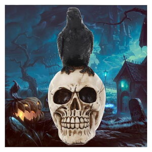 �n���E�B�[���̃J���X�̓��W����|�����W�����W���[�����f���n���E�B���X�J���h�N���n���E�B���u��������z���[�X�J���X�P���g�����W���u���h�N���͌^�n���E�B���h�N���X�J���|�����c