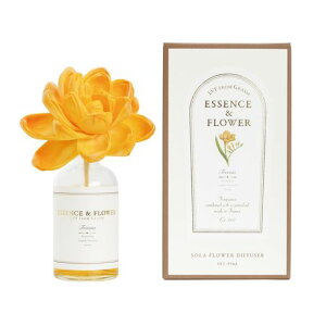 A[gE{LVF\t[fBt[U[t[WA