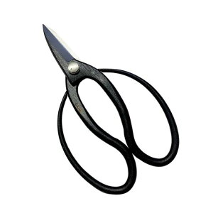 _ăA[NhTJgvp|180mm{725109