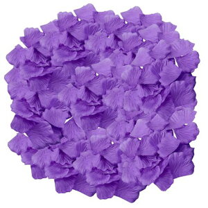 ԂтӂԂԎy[p[V[Ԍj䉉oBep(p[v1000)