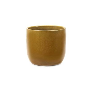 SERAXXg[EFA|bg20cmPotHoneyB7119001ȉԊ