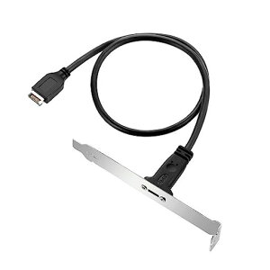 xiwaiUSB-C�P�[�u��USB3.1Type-E�t�����g�p�l���w�b�_�[����USB-CType-C���X�����P�[�u��40cm�p�l���}�E���g�l�W�t��