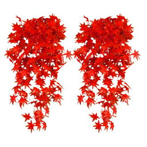 koundeneko݂2{Zbggt}Ǌ|tFCN~WHGߏlHϗtA̗tnEBӍՌXܑ䑕BeS100cm/{