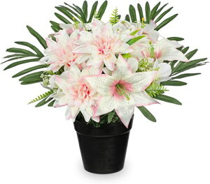 VillaComoԕԂ~A[gt[͂ȂԔA_ASoCeAtFCNO[エꃊrOփItBX̓(sNE&_A)