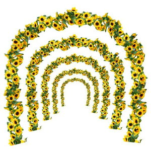 BacucineЂ܂葢Ԃ݂̓艺6{ԌAtFCNt[AԕǏԓlHϗtA͂ȂԉFK[hCG[t[u[Pz[Cec