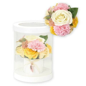 |s[É\[vt[ԉԑMtgV{t[SH-017