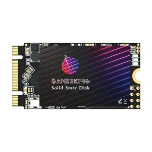 GamerKing M.2 2242 SSD 512GB SATA III 6Gb/s NGFF �����^ Solid State Drive �n�[�h�h���C�u �����\�n�[�h�h���C�u�m�[�g/�p�\�R��/�f�X�N�g�b�v�K�p �\���b�h�X�e�[�g�h���C�u 3�N�ۏ�SSD