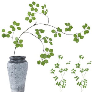 yowodanatFCNO[lHϗtAtFCNO[ԁy2{zCeAO[؂蕪\VzjCeAX܌փfBXvCx_̓̓jc