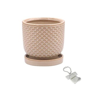 J-kitchensSelectԕrAؔԖڃfUC|bguES10xH9.5cmIWi^Ot