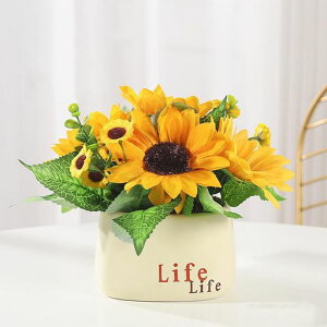 LakymisyЂ܂葢ԔA~͉ԑu[PϗtA͂ȂԐlHq}u[Pԃ|bgVNINSʐ^Be֒uVjv[gz[fR[V