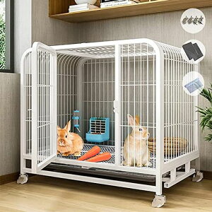 PuhangybgP[WP[WybgP[W傫LX^[ogCtP[WVC[P[WnX^[ETMbgQ[WgCETMc