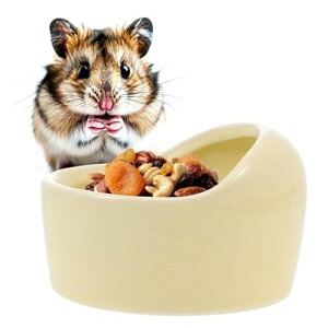 PAVIKEnX^[aꓩnX^[a{Eybgt[he포̉a胂bg̉aybgpa{EMaꐅݒu^t[h{Et[htBc