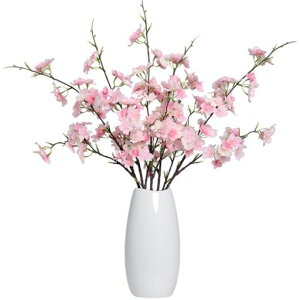 4{̉ԍ̎}lHVN͂ȂtFCNt[ԕrz[EFfBOItBXfR[VsN葡蕨